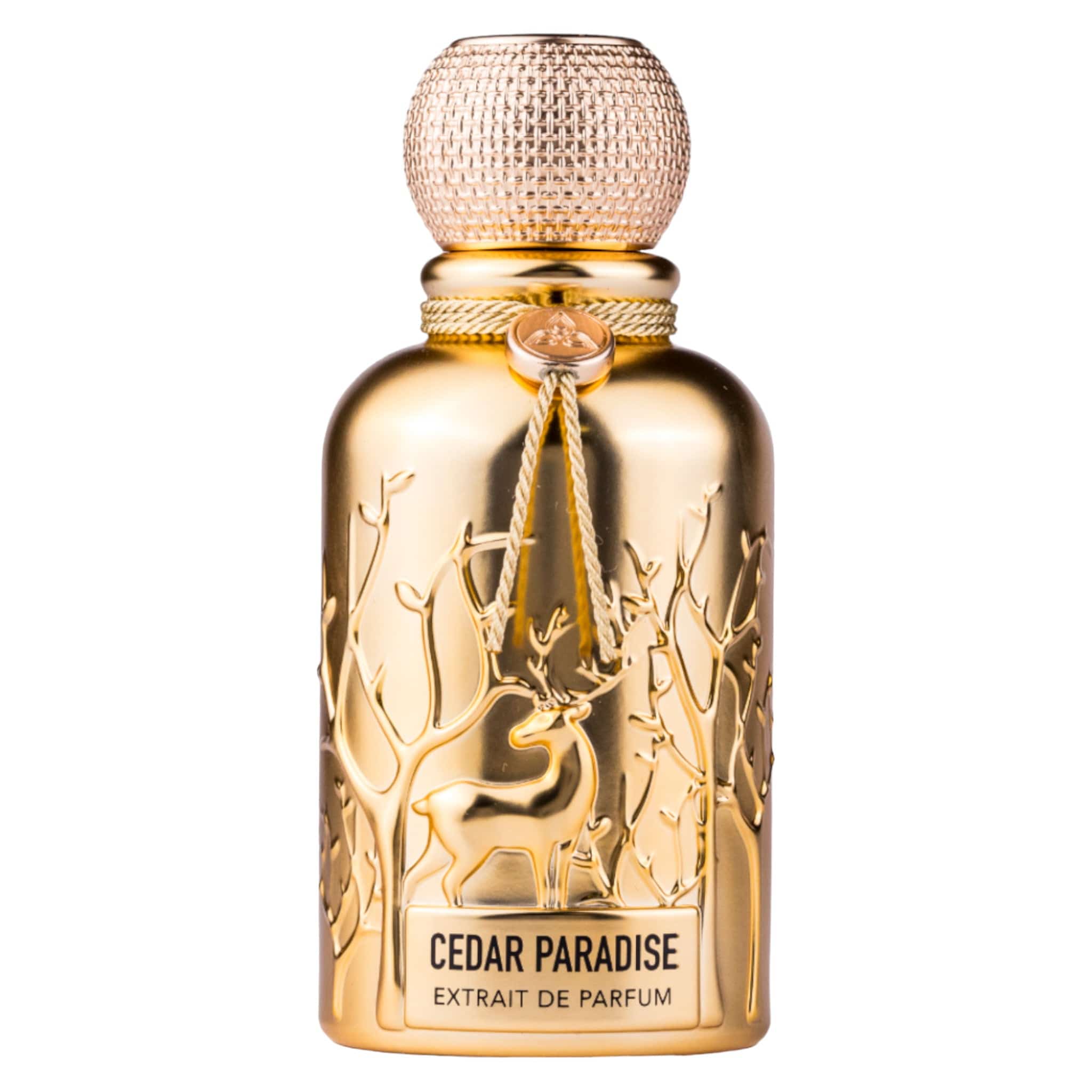 Cedar Paradise (Auraa) من AURAA DESIRE