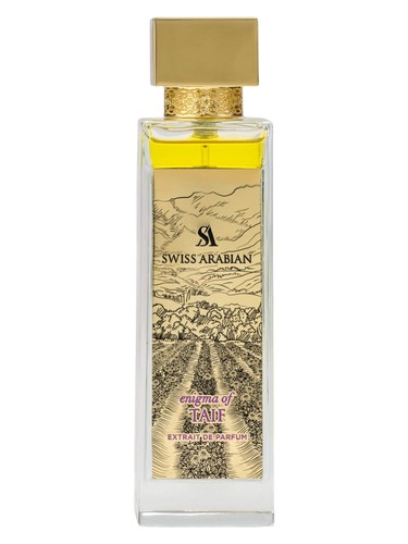 ENIGMA OF TAIF من SWISS ARABIAN
